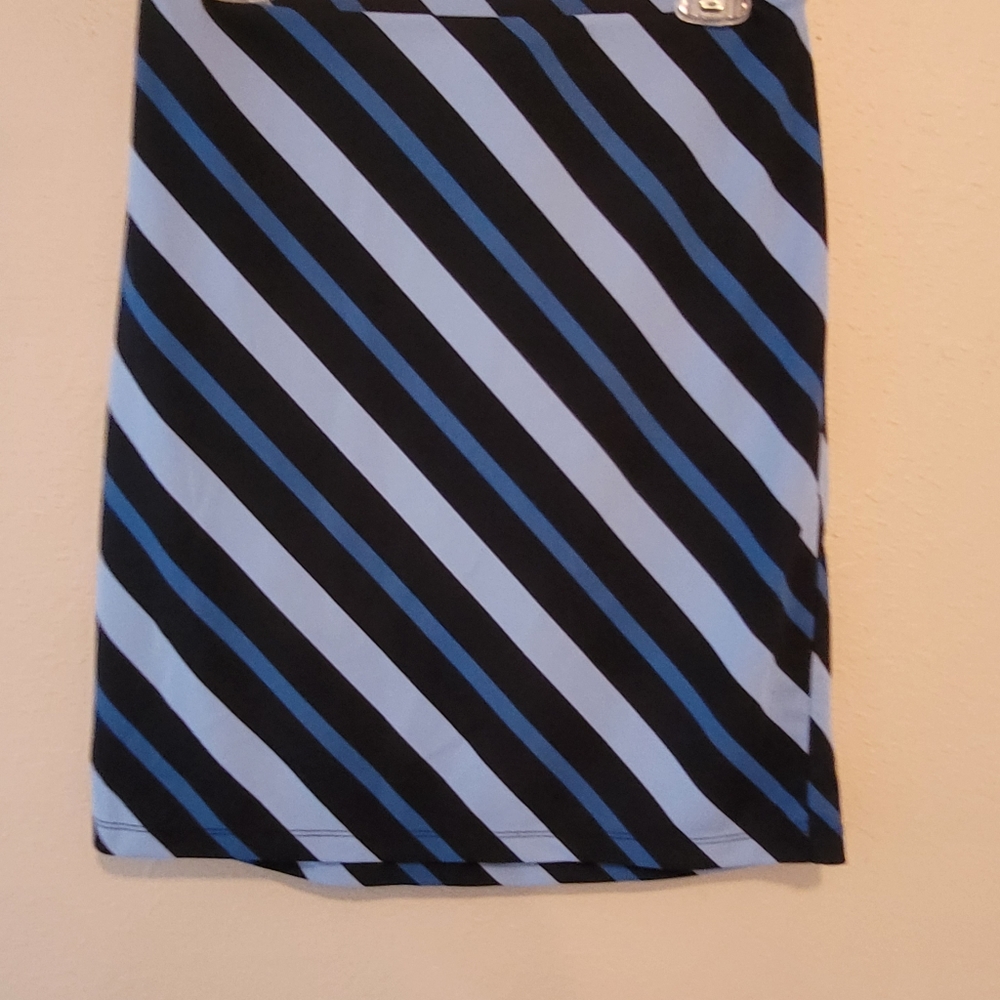 Express skirt size medium